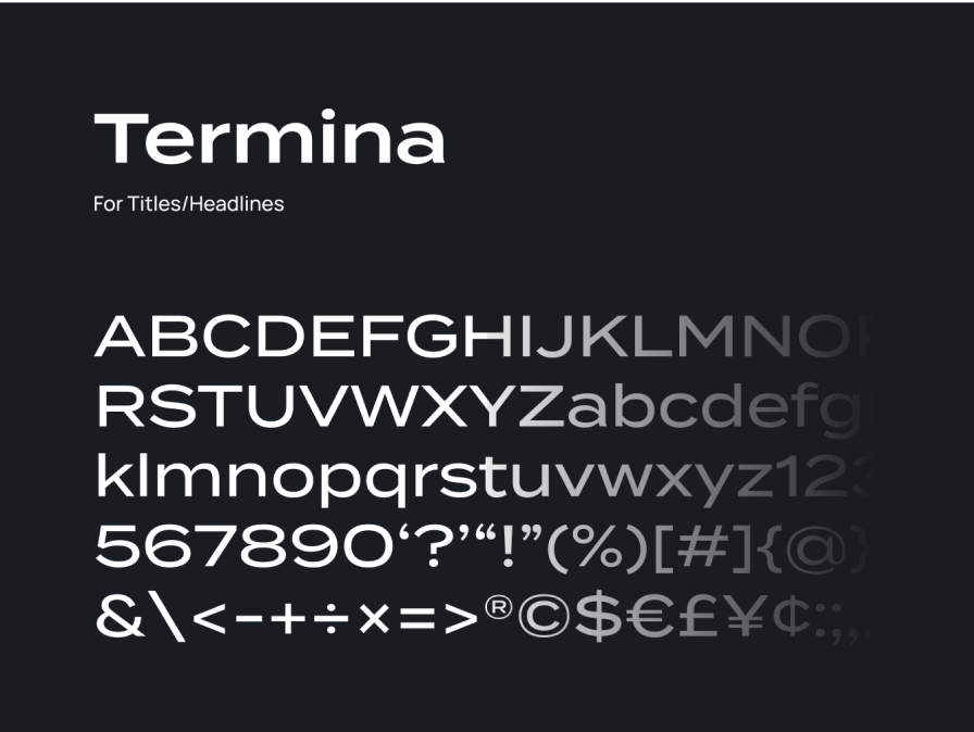 Termina Font